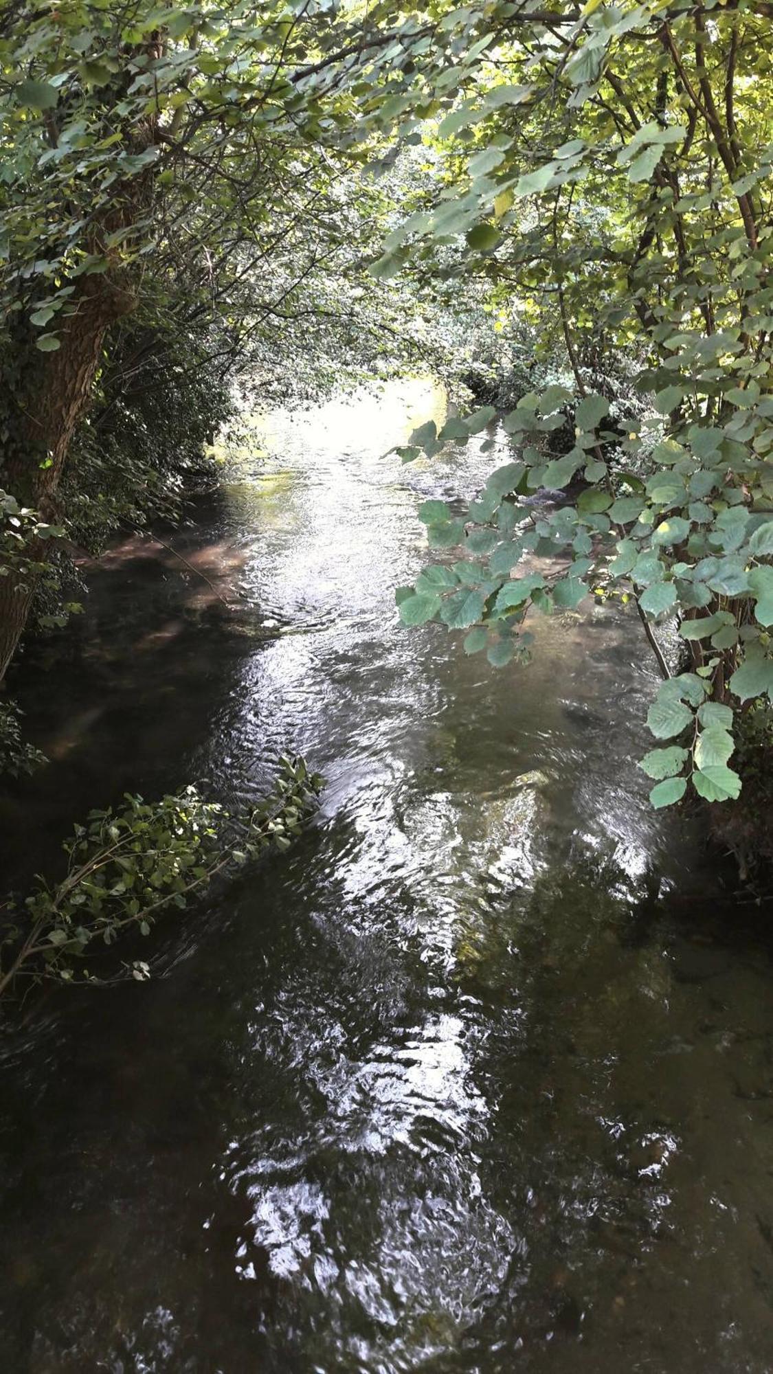 Le Cocon De Veyre